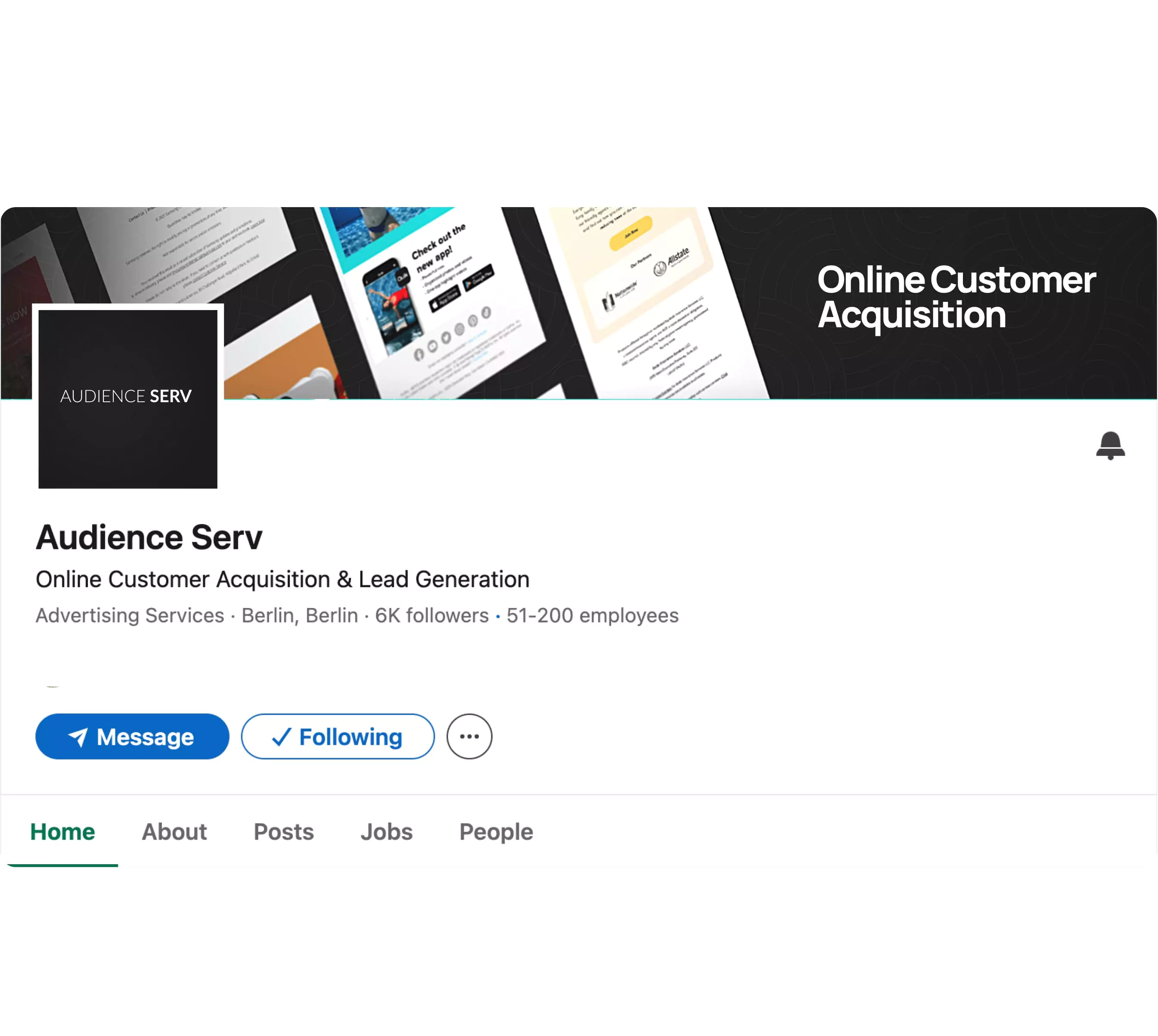 Audience Serv - Linkedin